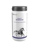 Buy Almapharm Allquin ZinkForte 800G Premium Zinc Supplement for Immune Support | Fast International Shipping - Buy Online on GoSupps.com