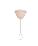 Mascoto Conception Cup - Hormone-Free Fertility Aid for Natural Conception at Home - Buy Online on GoSupps.com