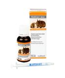 Alfavet Rodicare Acute 15ml - Digestive Supplement for Rabbits Guinea Pigs & Small Rodents | Regulate Digestion | Glass Bottle & Dosing Syringe - Buy Online on GoSupps.com
