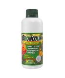 Buy 6pk Broncolin with Propolis Honey Syrup - Natural Health Supplement for Cough Relief | Fast Worldwide Shipping - Buy Online on GoSupps.com