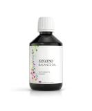 Zinzino BalanceOil Fish Oil - Omega-3 Omega-9 Vitamin D3 DHA & EPA - Tutti Frutti Flavor 300 ml - International Shipping Available - Buy Online on GoSupps.com