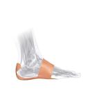 Plantar Fasciitis Heel Pain Relief System - 7 Effective Applications for Fast Relief - Buy Online on GoSupps.com