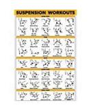 Quickfit Suspension Workout Poster - Double-Sided Laminated 18x27in for Fitness Room - International Shipping Available - Buy Online on GoSupps.com