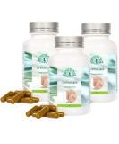 OrthoCare Power Spice - 3 Pack of 120 Herbal Capsules with Turmeric Coriander Nutmeg & Cumin - Natural Health Solution - Buy Online on GoSupps.com