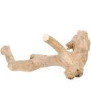 ProRep 2 x Java Reptile Branch Large - Buy Online on GoSupps.com