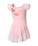 DIPUG Ballet Leotards for Girls Ballet Leotard with Skirt Toddler Dance Leotards Flutter Sleeve and Criss-Cross Back 4-6 Years Pink - Buy Online on GoSupps.com