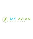 Avian DNA Sexing Kit Including ID Card for Parrots - Macaws Cockatoos African Grey Lovebirds Cockatiels and 300 More. Avian DNA Bird Sexing Sample Kit. Every Test Comes with A Free ID Card! - Buy Online on GoSupps.com