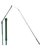 Intrepid International Colorful Training Whip in Hunter Green - Buy Online on GoSupps.com