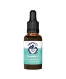 Dorwest Herbs Fragaria 3C Homoeopathic Liquid Remedy for Dogs & Cats - 15ml - Buy Online on GoSupps.com