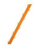 Durable Plastic Hook Hair Dredge - Kitchen & Bathroom Drain Cleaner for Clogs | International Shipping Available - Buy Online on GoSupps.com