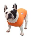 MPS Medical Pet Shirt Dog Surgery Recovery Suit Orange X-Small - Buy Online on GoSupps.com