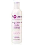 ApHogee Keratin & Green Tea Strengthening Shampoo - 12 oz | Strengthen & Revitalize Hair | International Shipping Available - Buy Online on GoSupps.com
