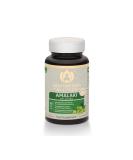 Maharishi Ayurveda Amalaki Super Herb 600mg - Pure Amla Fruit Powder Rich in Vitamin C Vegan 60 Tablets - Natural Immune Support - Buy Online on GoSupps.com