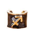 Sagittarius Zodiac Charmed Stethoscope Charm - Sagittarius Sign - Buy Online on GoSupps.com