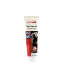 (2 Pack) Beaphar - Toothpaste 100g - Buy Online on GoSupps.com