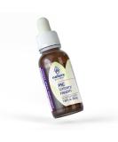 Buy Gemmotherapy Urinary Health - Natural Budding Plant Stem Cell Blend for Optimal Wellness | International Shipping Available - Buy Online on GoSupps.com