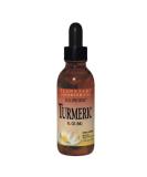 Planetary Herbals Turmeric Full Spectrum Extract 1 fl oz | Premium Herbal Supplement - Buy Online on GoSupps.com