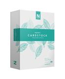 Neenah Vellum Bristol Cardstock 67lb - 325 Sheets, 94 Brightness, 8.5 x 11 - Ream 91633 - Buy Online on GoSupps.com