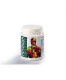 Phytonorm Beer Yeast 160 Capsules by Intersa - Natural Supplement for Healthy Living - Buy Online on GoSupps.com