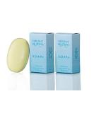 Summer Solutions Chlorine Neutralizing Soap Bar - 3.5 oz (2 Pack) | Odor Removing Formula - Buy Online on GoSupps.com