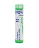 Boiron Calcarea Phosphorica 30X - 80 Pellets for Growing Bone Pain Relief | International Shipping Available - Buy Online on GoSupps.com
