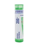 Buy Boiron Arnica Montana 200X - Relieve Muscle Pain Stiffness & Bruises - 80 Pellets - Fast International Shipping - Buy Online on GoSupps.com