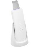 LESENBEAUTY Face Scrubber & Blackhead Remover Tools - Wireless Charging  Waterproof (White Silver) - Buy Online on GoSupps.com