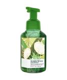 Bath & Body Works Gentle Foaming Hand Soap 2-Pack (Waikiki Beach Coconut) - 8.75 oz - Buy Online on GoSupps.com