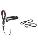 Halti Head Collar Adjustable Head Halter Collar for Dogs Head Collar to Stop Pulling for Small Dogs & Training Lead for Dogs Dog Lead to Stop Pulling on Walks Large Black Medium + Training Lead for Dogs Large Black - Buy Online on GoSupps.com