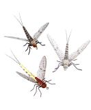 Synthfly Lifelike Mayfly Pack of 8 Mayflies for Fly Fishing (Gray & Brown Drake in Sizes 10 12 14 and Danica in Sizes 10 12) - Buy Online on GoSupps.com