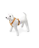 Karlie ASP Harness - Orange | Adjustable & Durable 10mm & 15mm Sizes for Dogs | International Shipping Available - Buy Online on GoSupps.com