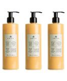 Prija Massage Lotion - Cypress Aroma (3-Pack 380ml) | Moisturizing & Soothing Spa Formula - Natural Ingredients for Wellness & Hotel Use - Buy Online on GoSupps.com