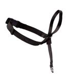 PetSafe Easy Walk Head Collar - Gentle and Effective Control for Dogs - Buy Online on GoSupps.com