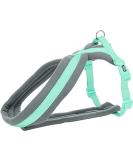 Comfort Premium Harness for Large Dogs - Mint Green 60-100 cm / 25 mm | Perfect Fit & Durable Design | International Shipping Available - Buy Online on GoSupps.com