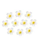 FRCOLOR Hawaiian Plumeria Flower Hair Clip Wedding Bridal Barrette - 10 Pieces - Buy Online on GoSupps.com