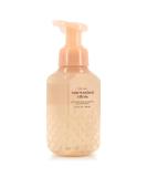 Buy White Barn Sunwashed Citrus Gentle Foaming Hand Soap 8.75 Fl Oz - Sugared Lemons Pineapple & Mandarin - International Shipping Available - Buy Online on GoSupps.com