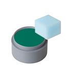 Grimas Water Makeup Set - Theatre & Children's Green 15ml - Color 401 - Buy Online on GoSupps.com