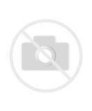 Buy PETVITAL Novermin Liquid for Dogs Over 15 kg 4 ml | Fast International Shipping & Premium Quality - Buy Online on GoSupps.com