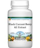 TerraVita Black Currant Berry Extract Powder 4oz - Extra Strength 4:1 Concentrate - 3 Pack - Buy Online on GoSupps.com