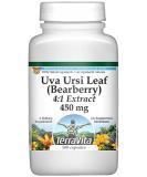 TerraVita Extra Strength Uva Ursi Leaf (Bearberry) 4:1 Extract - 450mg (100 Capsules) | ZIN 511279 - Buy Online on GoSupps.com
