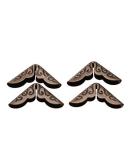 50pcs Iron Book Corner Protectors for Scrapebooking Vintage Photo Album Diary(C086Bronze) - Buy Online on GoSupps.com