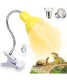 Shengruili Turtle Heat Lamp - 25W & 50W Reptile Terrarium Light | Optimal Heat for Turtles & Reptiles - Buy Online on GoSupps.com