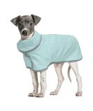 Petsmiler Dog Bathrobe - Absorbent Velcro Bathing Robe for Large Dogs | Ideal After Swimming or Rain (Green) - Buy Online on GoSupps.com