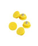 BESPORTBLE 100Pcs Ice Cleats Studs - Anti-Slip Spikes for Winter Outdoor Hiking - Buy Online on GoSupps.com