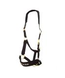 Buy Back on Track Halfer Werano Cob - Premium International Shipping - Buy Online on GoSupps.com