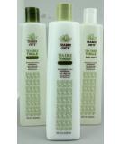 Trader Joe's Tea Tree Tingle Shampoo, Conditioner, and Body Wash Set - Buy Online on GoSupps.com
