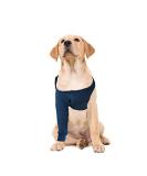 MPS Medical Pet Shirt - TAZ Single Front Leg Sleeve for Dog Small Blue Small - Buy Online on GoSupps.com