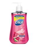 Dial Anti-Bacterial Watermelon Hand Soap - 7.5 Fl Oz - Buy Online on GoSupps.com