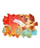 Buy Your Naschbox Sugar-Free Fruit Gum Sweets - Large 500g Pack with Bears Hearts Cola Vials & Seafood - International Shipping Available - Buy Online on GoSupps.com