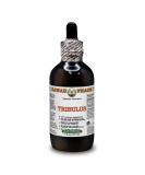 Hawaii Pharm Europe Tribulus Terrestris Alcohol-Free Liquid Extract Glycerite 120ml - Premium Dried Fruits Supplement for Enhanced Vitality - Buy Online on GoSupps.com